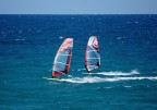 surfers in action