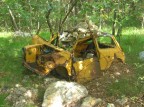 rottame abbandonato nel bosco.