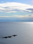 liguria, giugno, mattino