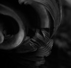 particolare ligeno low key particolare ligeno low key