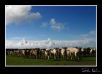 CANON EOS 300D 28-70 2.8L
28mm f13 1/800 ISO 200