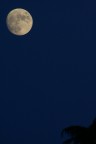 Luna al tramonto