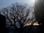 Canon PowerShot S70, 1/1250 - F8.0, Exposure Compensation -2/3, ISO 50, Focal Length 20.7 mm