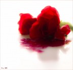 violenza alle donne