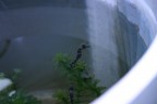 Canon 300D Kit, 1/60 - F5.6, ISO 400, Focal Length 45.0 mm