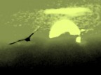 Questa foto non vuole mettere in evidenza particolari qualit tecniche o particolari procedure di pw. E' solo un sogno, e come tale va visto.