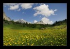 alpe corte corbenas