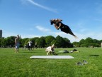 Jumping