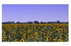 Una casa immersa nel sole!