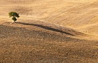 Tuscany