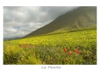 la Fiorita