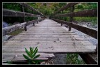 sbucando dal ponte