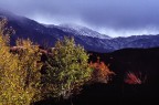AUTUNNO NEL PARCO