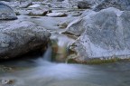presenze sott'acqua