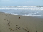 Solitudine