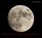 Luna piena