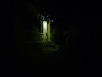 luce nella notte silenziosa di un bosco