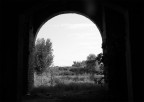 Luce