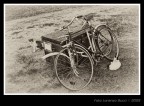 Mici in Bici