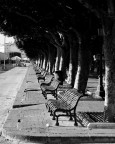 panchine di ortigia