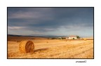 ...LANDSCAPE...