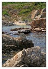Mare