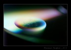 Forme e colori 4