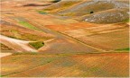 Campi bruciati - Agosto 2009