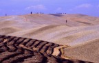 Analogico 1980