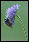 D200 sigma 180 iso 400  1/20  f10  +0.3 E.V treppiede
