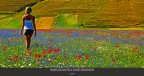 La bellezza in un'immagine