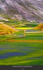 Un fiume di colori