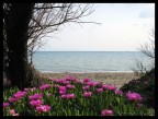 Spiaggia Piombino..