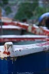 - Luglio 2009 -