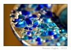 &quot;Tra il Blu e l'Oro&quot;