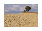 Terra d'Agosto 1