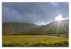 primo sole
