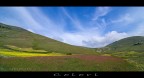 colori