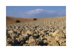 Terra d'Agosto 3