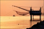 Alba adriatica