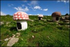 Funghi