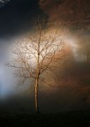"la magia della nebbia"