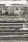 Lines
