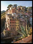 riomaggiore..