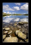 band nature