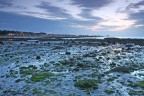 BASSA MAREA A NORTH BERWICK