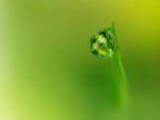 i sensi della natura