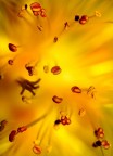 bagliori di luce