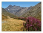 Gran Paradiso