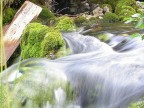 acqua